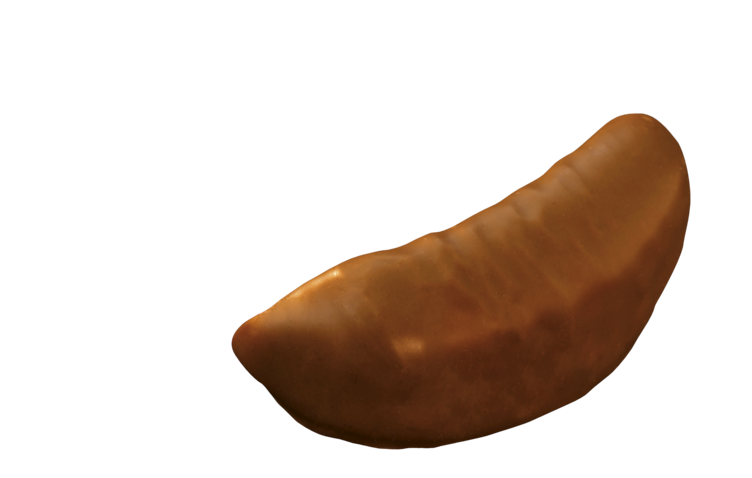 Sjokolademus
